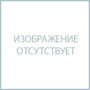 Премьер РФ: государственные оценщики будут предоставлять разъяснения по кадастровой стоимости