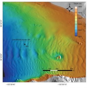 Ученые из MBARI показали сверхдетализированные карты Монтерейского подводного каньона