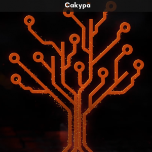 Представлена передовая российская zero-code платформа Сакура PRO — высокопроизводительный конструктор для решения сложных бизнес-процессов